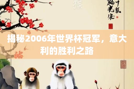 揭秘2006年世界杯冠军，意大利的胜利之路