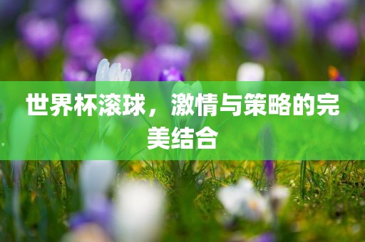 世界杯滚球，激情与策略的完美结合