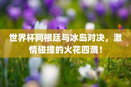 世界杯阿根廷与冰岛对决，激情碰撞的火花四溅！