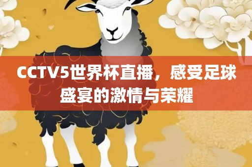 CCTV5世界杯直播，感受足球盛宴的激情与荣耀