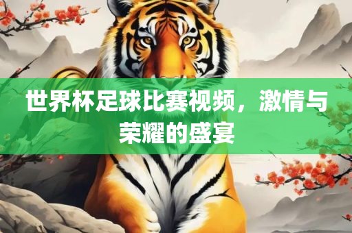 世界杯足球比赛视频，激情与荣耀的盛宴