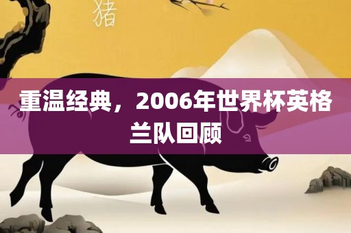 重温经典，2006漯河市盈旭机械设备有限公司年世界杯英格兰队回顾