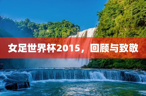 女足世界杯2015，回顾与致敬漯河市盈旭机械设备有限公司