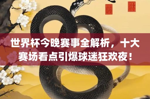 世界杯今晚赛事全解析，十大赛场看点引爆球迷狂欢夜！