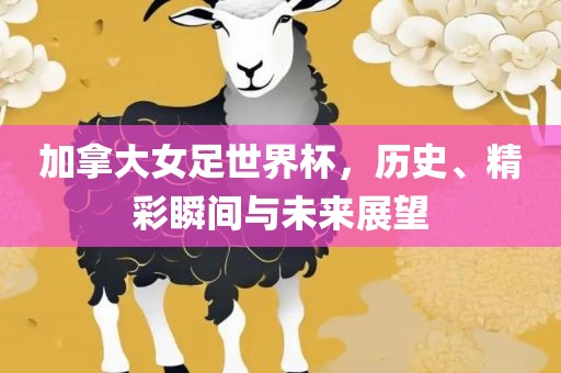 加拿大女足世界杯，历史、精彩瞬间与未来展望漯河市盈旭机械设备有限公司