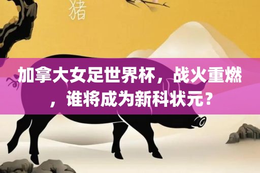 加拿大女足世界杯，战火重燃，谁将成为新科状元？