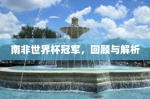 南非世界杯冠军，回顾与解析漯河市盈旭机械设备有限公司