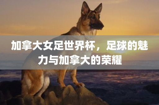 加拿大女足世界杯，足球的魅力与加拿大的荣耀