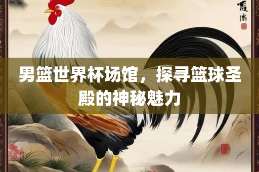 男篮世界杯场馆，探寻篮球圣殿的神秘魅力