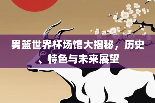 男篮世界杯场馆大揭秘，历史、特色与未来展望