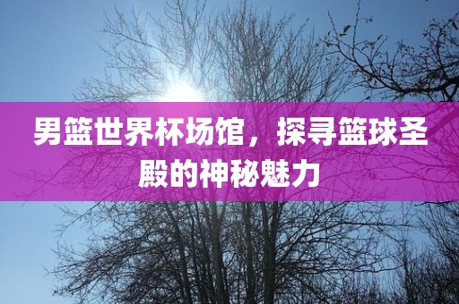 男篮世界杯场馆，探寻篮球圣殿的神秘魅力