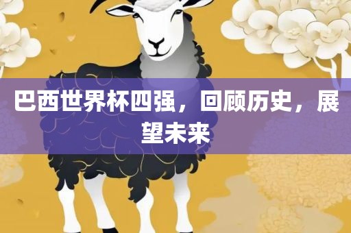 巴西世界杯四强，回顾历史，展望未来漯河市盈旭机械设备有限公司
