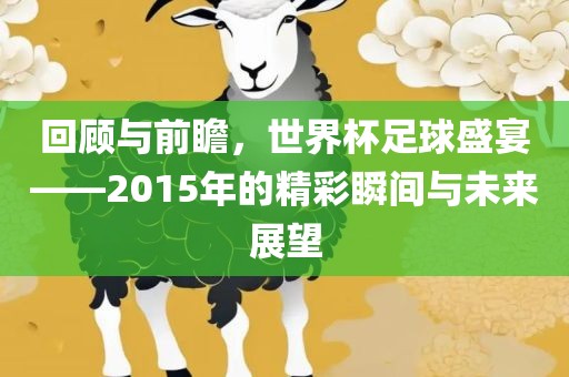 回顾与前瞻，世界杯足球盛宴——2015年的精彩瞬间与未来展望漯河市盈旭机械设备有限公司