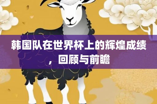 韩国队在世界杯上的辉煌成绩，回顾与前瞻