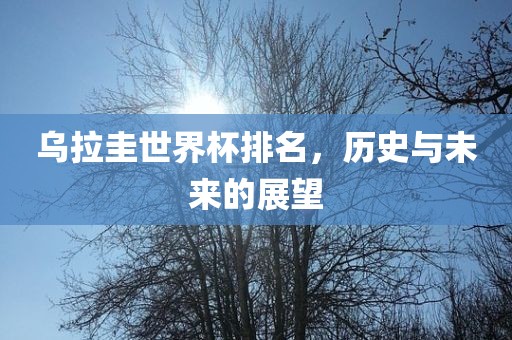 乌拉圭世界杯排名，历史与未来的展望