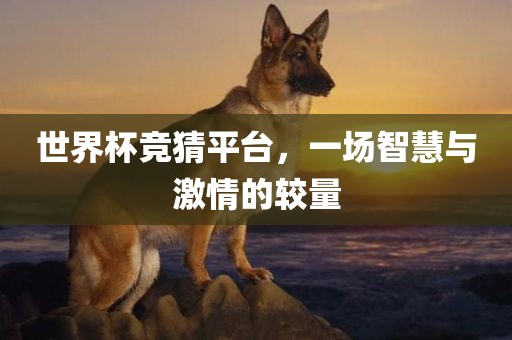 世界杯竞猜平台，一场智慧与激情的较量