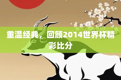重温经典，回顾2014世界杯精彩比分