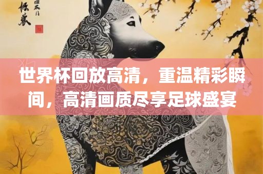 世界杯回放高清，重温精彩瞬间，高清画质尽享足球盛宴