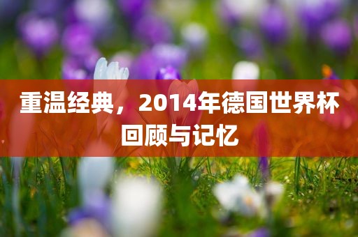 重温经典，2014年德国世界杯回顾与记忆