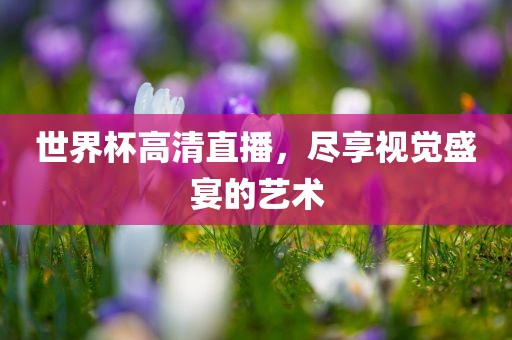 世界杯高清直播，尽享视觉盛宴的艺术