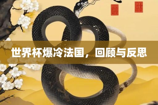世界杯爆冷法国，回顾与反思