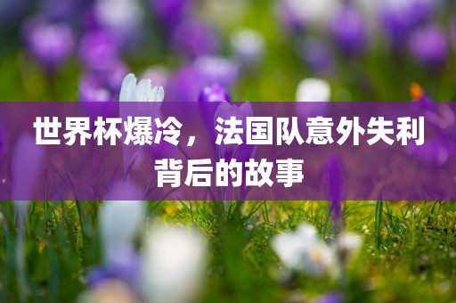 世界杯爆冷，法国队意外失利背后的故事