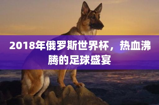 2018年俄罗斯世界杯，热血沸腾的足球盛宴漯河市盈旭机械设备有限公司