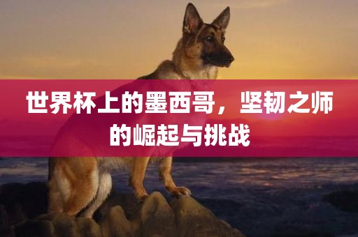 世界杯上的墨西哥，坚韧之师的崛漯河市盈旭机械设备有限公司起与挑战
