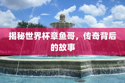 揭秘世界杯章鱼哥，传奇背后的故事