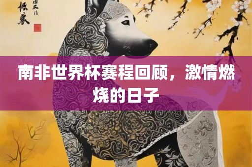 南非世界杯赛程回顾，激情燃烧的日子