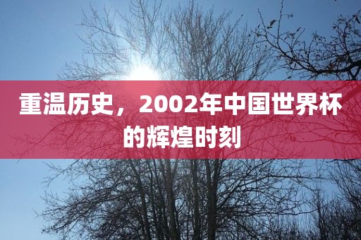 重温历史，2002年中国世界杯的辉煌时刻