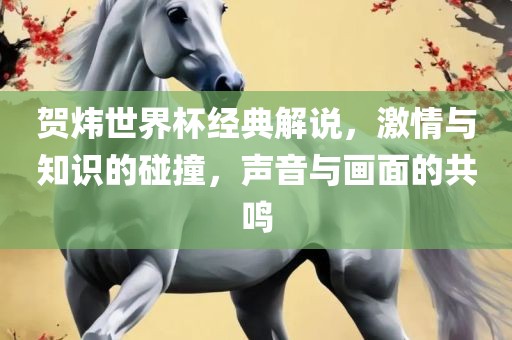 贺炜世界杯经典解说，激情与知识的碰撞，声音与画面的共鸣