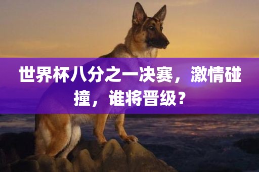 世界杯八分之一决赛，激情碰撞，谁将晋级？漯河市盈旭机械设备有限公司