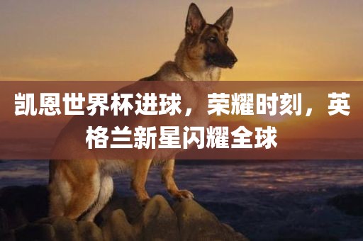 凯恩世界杯进球，荣耀时刻，英格兰漯河市盈旭机械设备有限公司新星闪耀全球