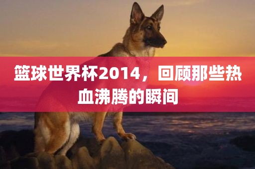 篮球世界杯2014，回顾那些热血沸腾的瞬间漯河市盈旭机械设备有限公司