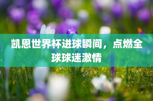 凯恩世界杯进球瞬间，点燃全球球迷激情漯河市盈旭机械设备有限公司