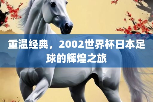 重温经典，2002世界杯日本足球的辉煌之旅
