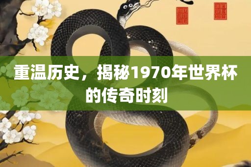 重温历史，揭秘1970年世界杯的传奇时刻