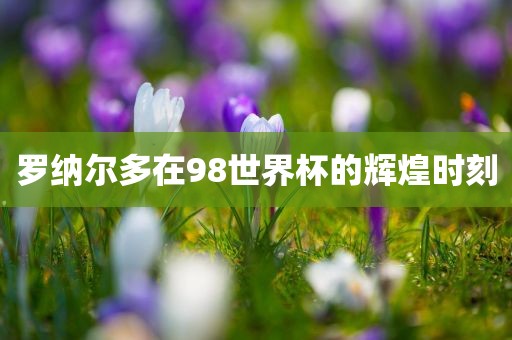 罗纳尔多在98世界杯的辉煌时刻漯河市盈旭机械设备有限公司