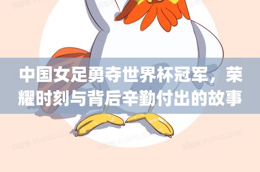 中国女足勇夺世界杯冠军，荣耀时刻与背后辛勤付出的故事漯河市盈旭机械设备有限公司