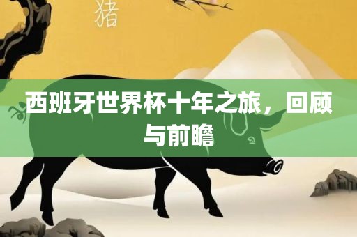 西班牙世界杯十年之旅，回顾与前瞻