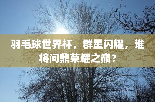 羽毛球世界杯，群星闪耀，谁将问鼎荣耀之巅？