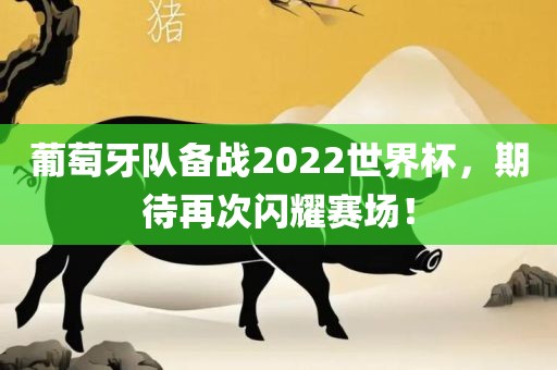 葡萄牙队备战2022世界杯，期待再次闪耀赛场！漯河市盈旭机械设备有限公司