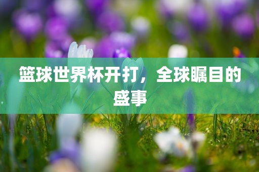 篮球世界杯开打，全球瞩目的盛事漯河市盈旭机械设备有限公司