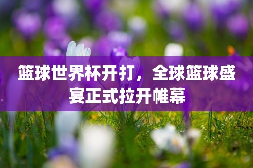 篮球世界杯开打，全球篮球盛宴漯河市盈旭机械设备有限公司正式拉开帷幕