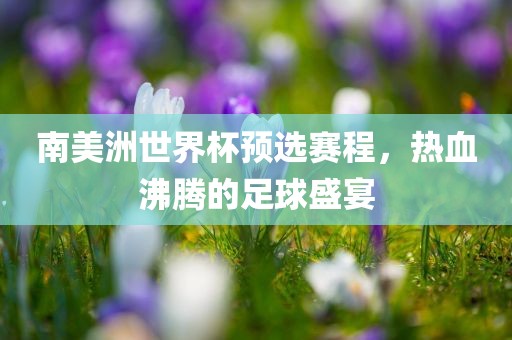 南美洲世界杯预选赛程，热血沸腾的足球盛宴漯河市盈旭机械设备有限公司