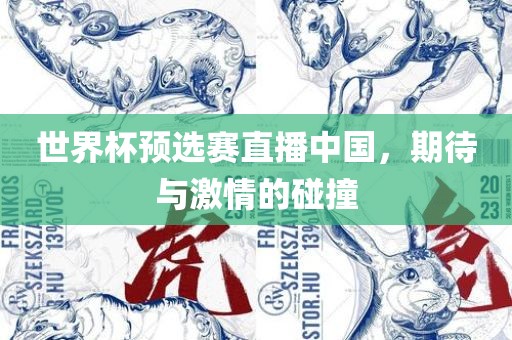 世界杯预选赛直播中国，期待与激情的碰撞