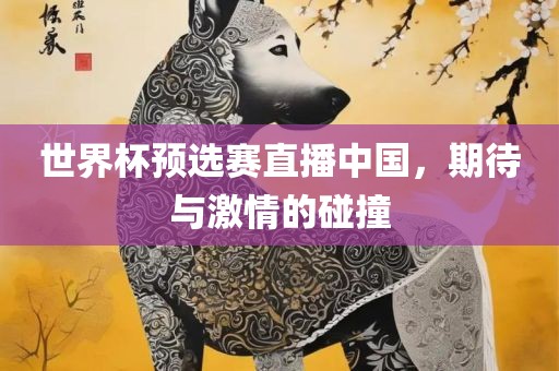世界杯预选赛直播中国，期待与激情的碰撞