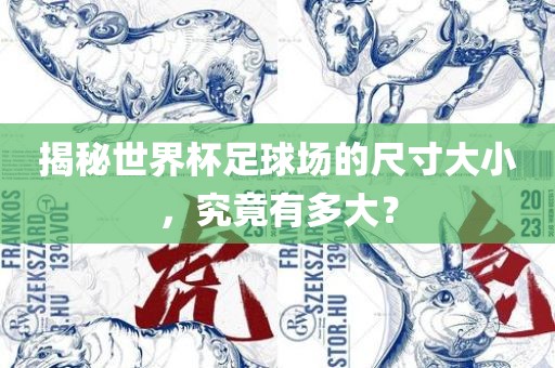 揭秘世界杯足球场的尺寸大小，究竟有多大？