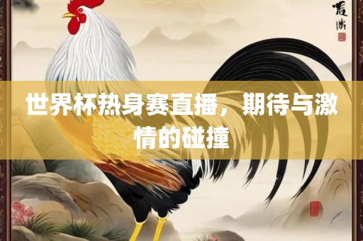 世界杯热身赛直播，期待与激情的碰撞